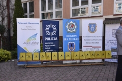 303-261037