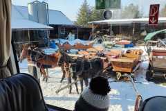 IMG-20240123-WA0023