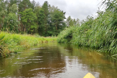 IMG20250719112138