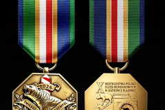 medal-siatkowka